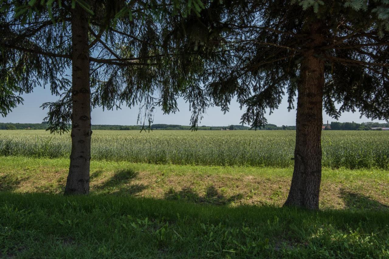 Pósteleki Vendégház-Nyugalom Szigetei Gyula Esterno foto